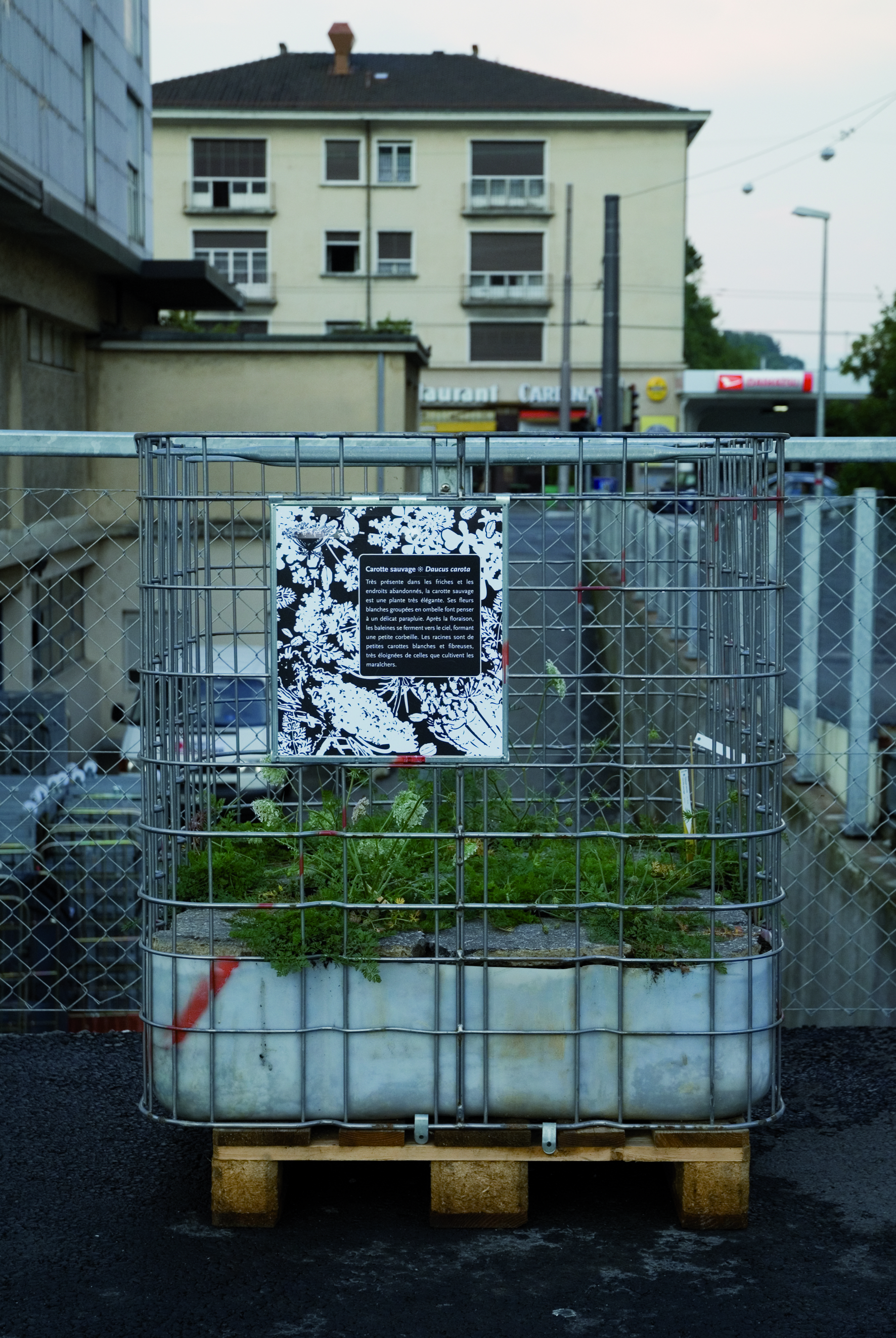 5.1 Ligne de vie ©L.Baud